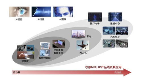 國內(nèi)半導(dǎo)體IP與產(chǎn)品布局全景圖 網(wǎng)絡(luò)技術(shù)咨詢視角